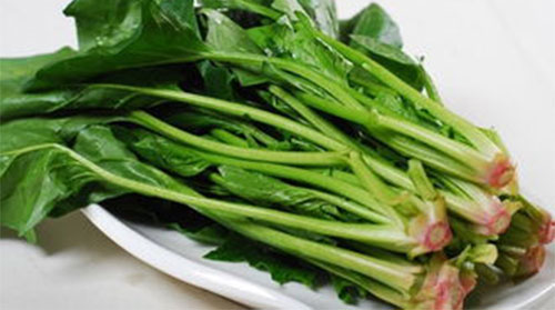 ����ʯ���ܳ�ʲôʳ�� ����ʯ��5����ʳ����